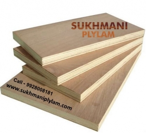 Plywood Showroom in Udaipur